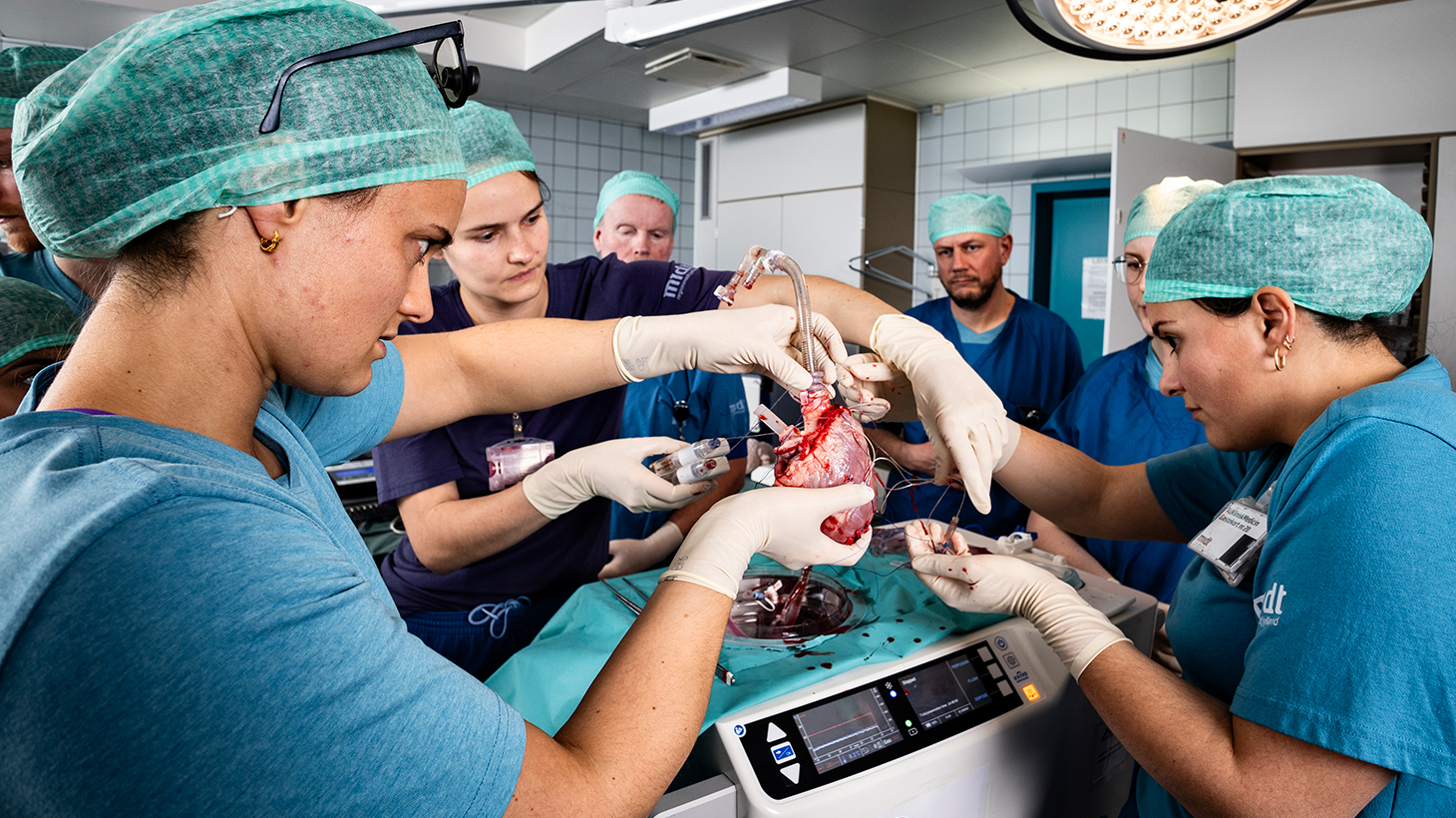 Kirurger i operationstøj holder donorhjerte fra en gris